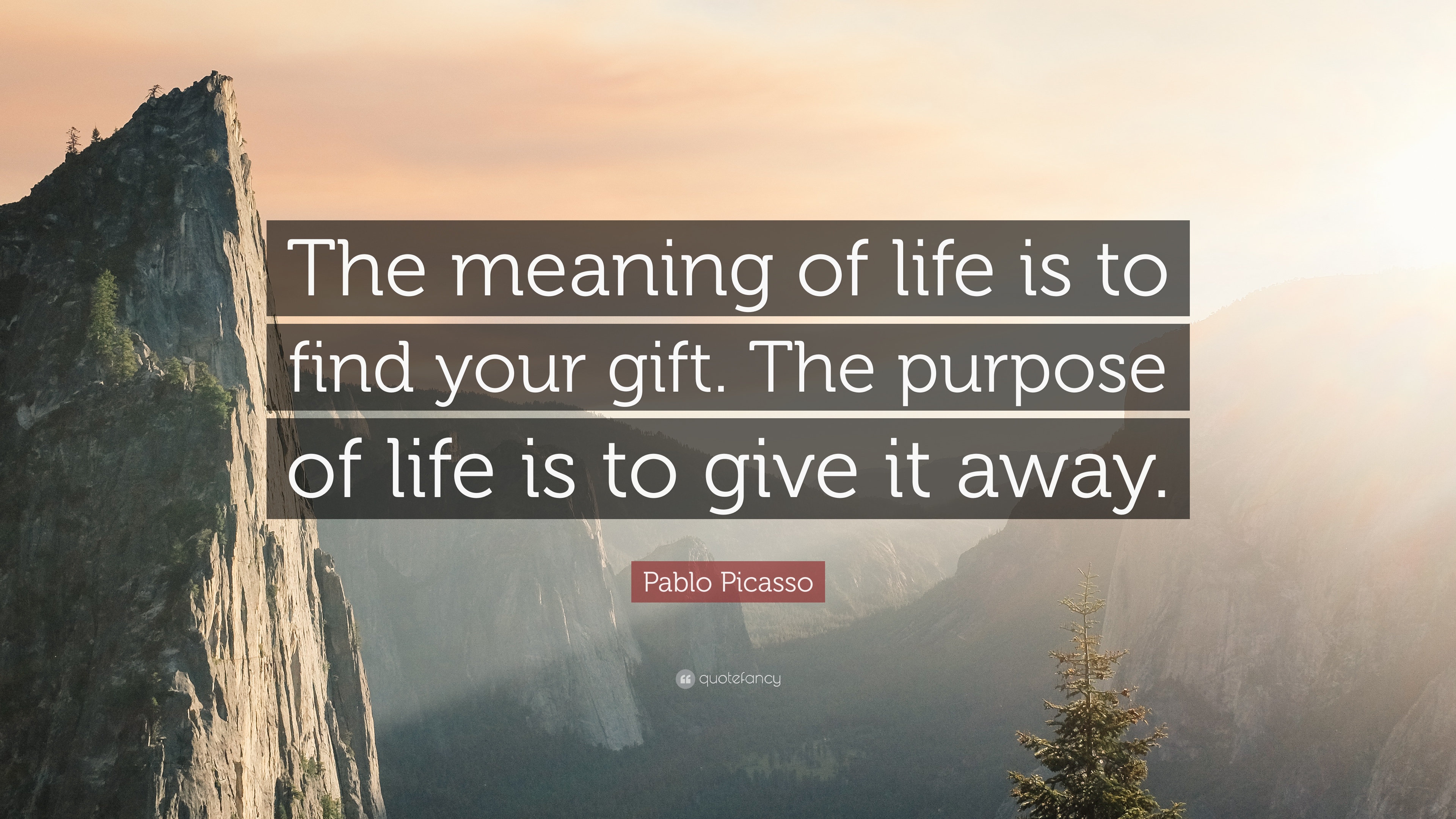Meaning and purpose of life essay